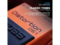 <b>DELUXE PACK BOSS DS-1 DISTORTION CABO BOSS BIC-10A-OR</b> <b>DELUXE PACK BOSS DS-1 DISTORTION CABO BOSS BIC-10A-OR</b>